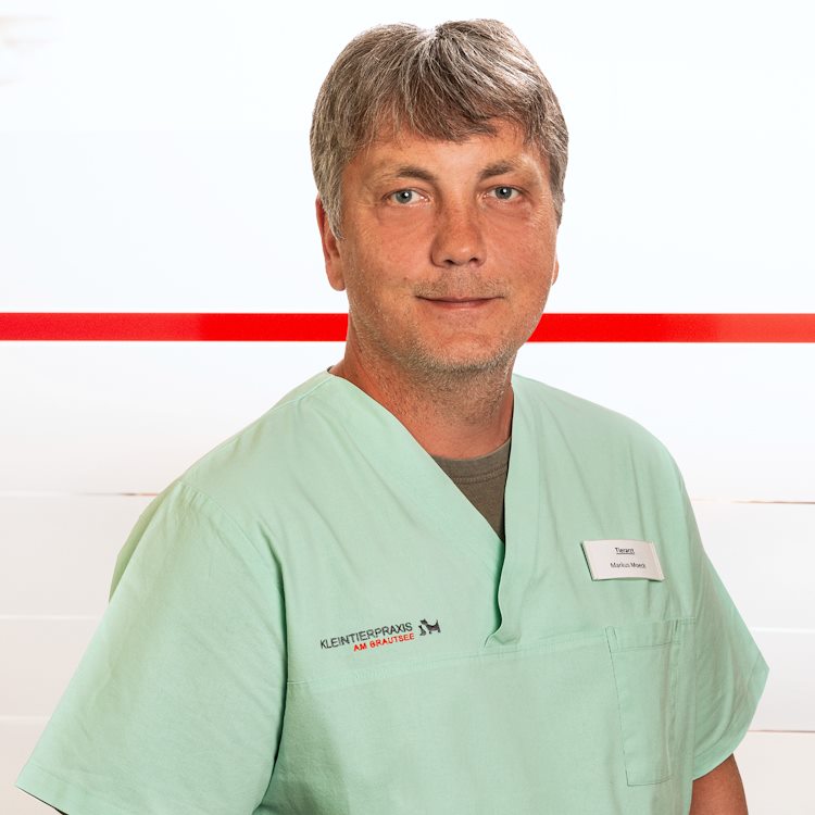 Markus Moeck, Tierarzt in der Kleintierpraxis am Brautsee